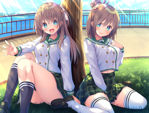 Konachan.com 298322 2girls asa no ha brown hair grass gray eyes kneehighs long hair mizuna shiro miz