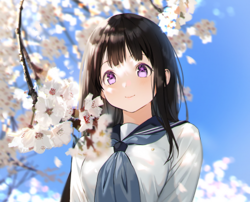 304396_black-hair-blush-cherry-blossoms-chitanda-eru-close-cropped-flowers-hyouka-long-hair-mery-apfl0515-purple-eyes-school-uniform-sky-spring.png