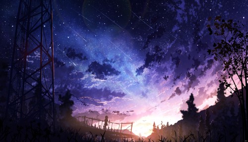 Konachan.com 317217 animal bird clouds forest original scenic signed silhouette sky skyrick9413 star